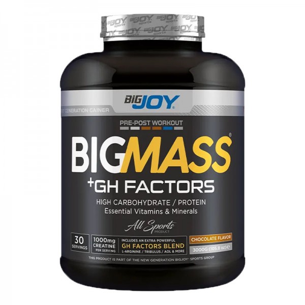 BİG JOY BİG MASS + GH FACTORS 3000 GR ÇİKOLATA