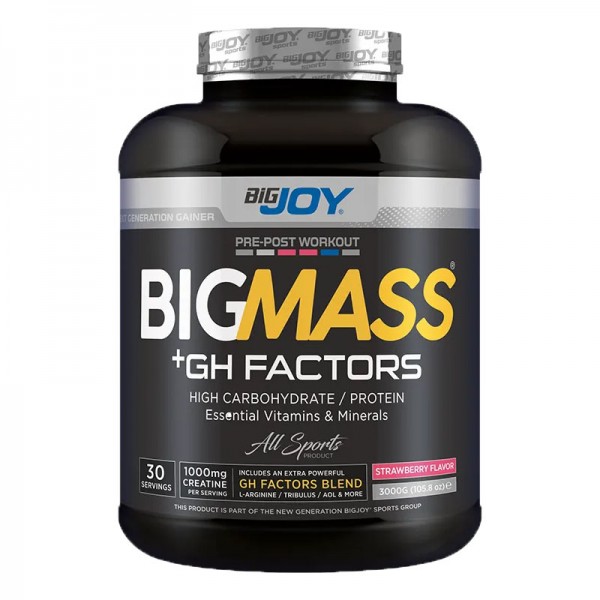 BİG JOY BİG MASS + GH FACTORS 3000 GR ÇİLEK