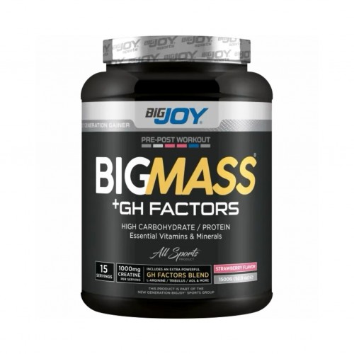 BİG JOY BİG MASS + GH FACTORS  - 1500 GR