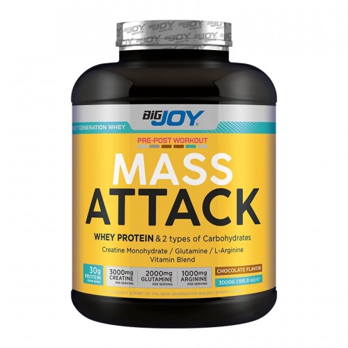 BİG JOY SPORTS MASS ATTACK 3000 GR