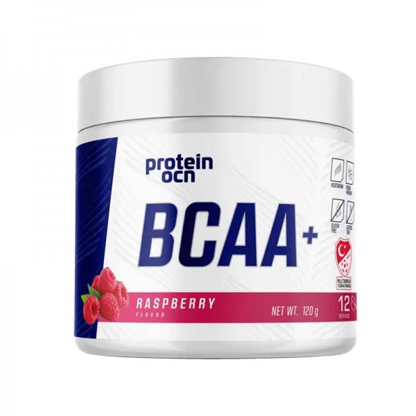PROTEİNOCEAN BCAA+ 120 GR